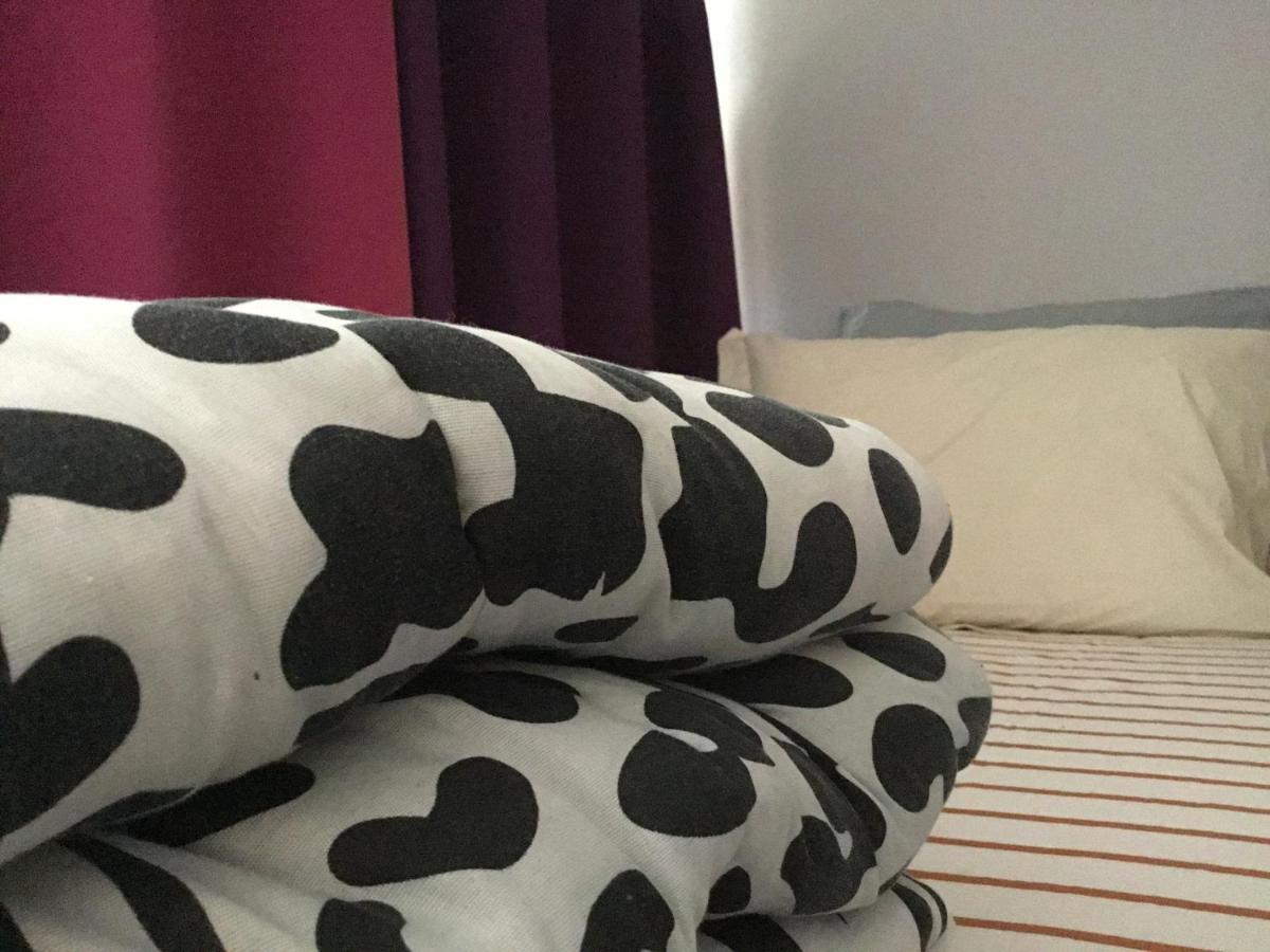 Just For Sleep-Daily Stay 20H To 10H Apres Votre Arrivee Dans Le Batiment D'Entree, Contact I'Hote Via Le Message Ici De Reservation Pour L'Enregistrement I'Entree Dans La Propriete Sans I'Approbation Est Interdite-Resevation D'Un Tiers Est Inaccepta Бобини Екстериор снимка